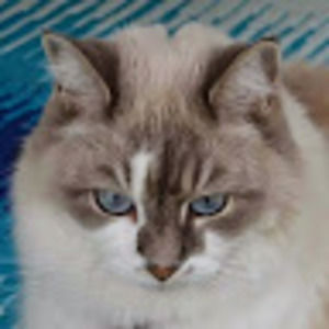 Meet your Posher, Dottie